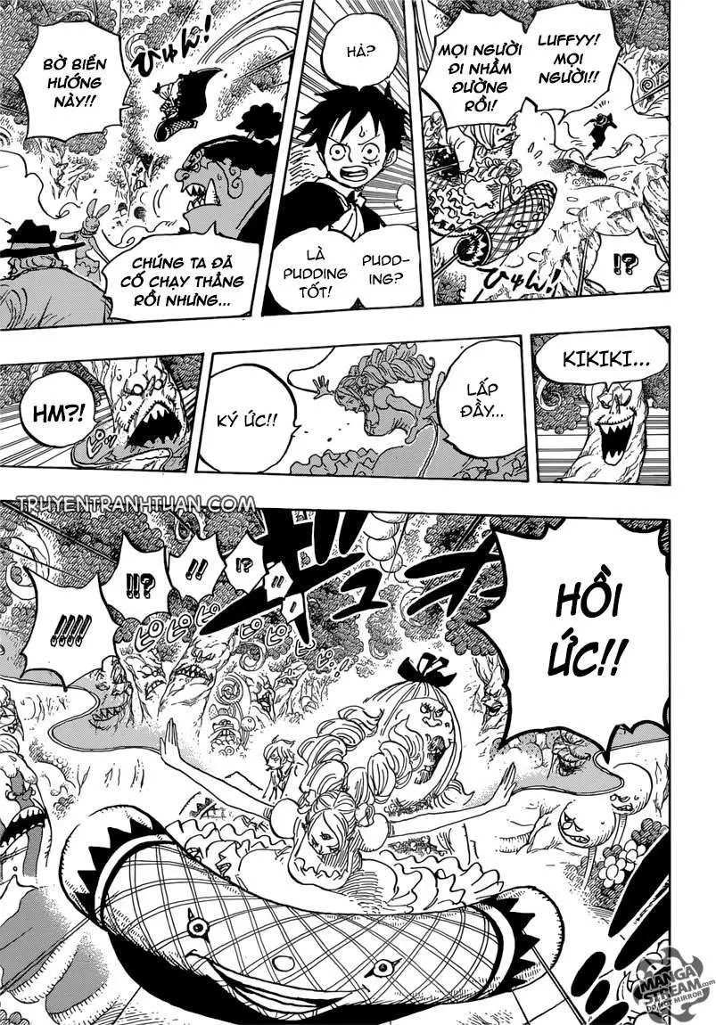 One Piece chương 876, trang 14