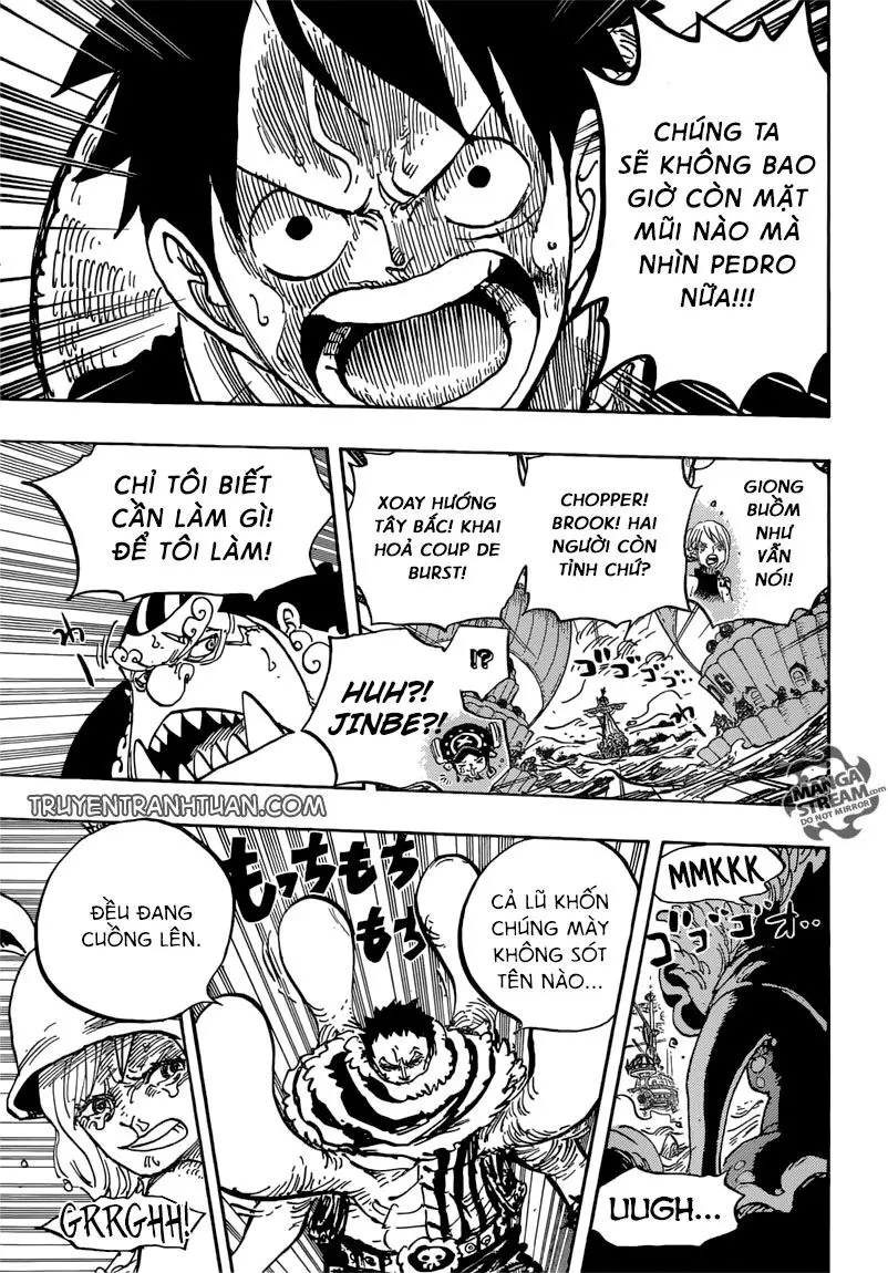 One Piece chương 878, trang 10