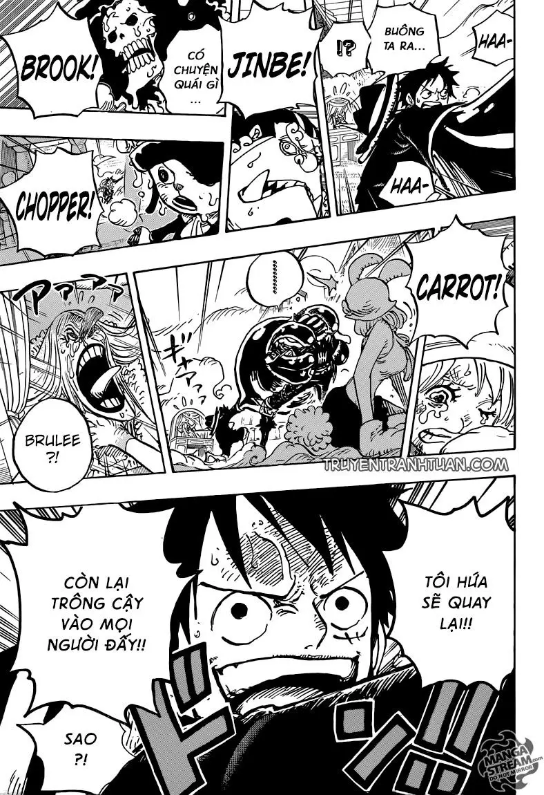 One Piece chương 878, trang 16