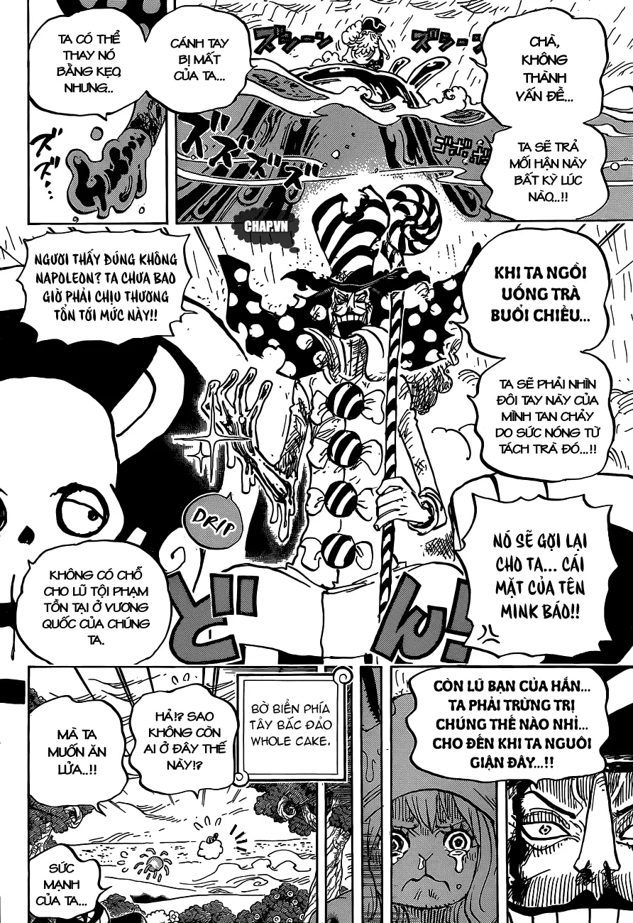 One Piece chương 879, trang 8