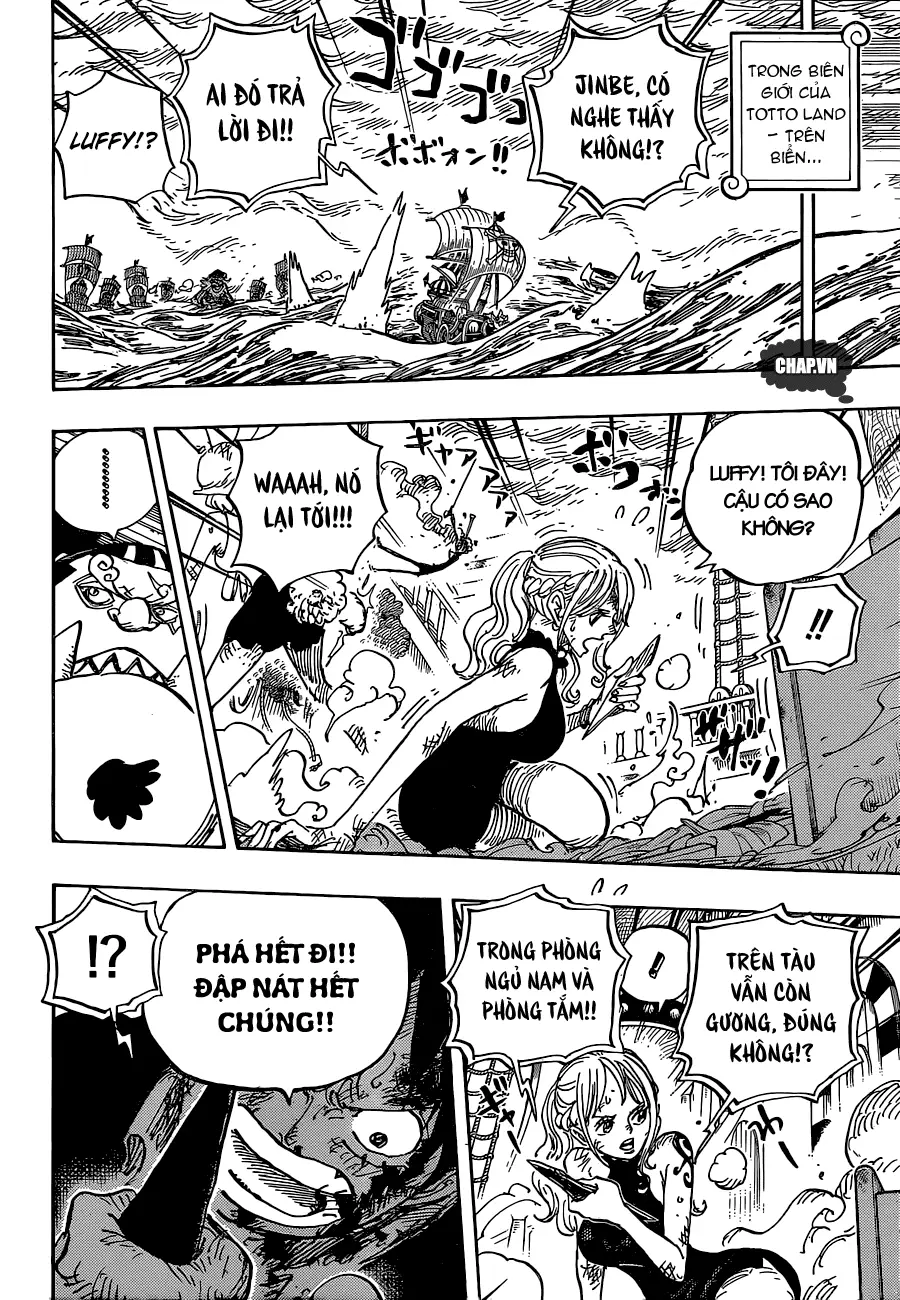 One Piece chương 880, trang 14