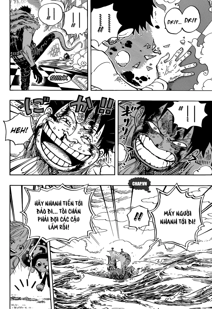 One Piece chương 881, trang 15