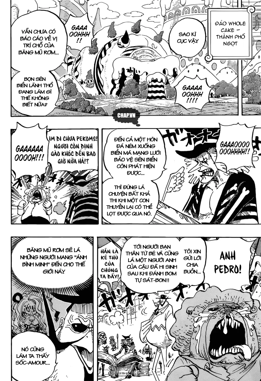 One Piece chương 882, trang 11