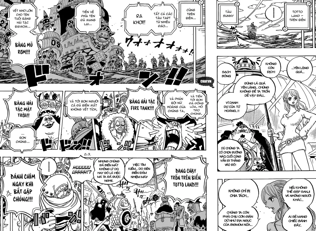 One Piece chương 885, trang 13