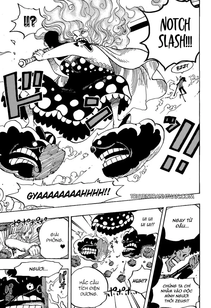 One Piece chương 890, trang 14