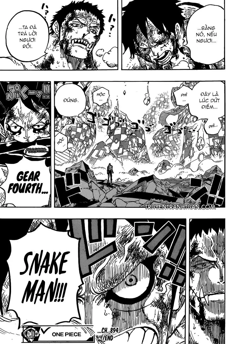 One Piece chương 894, trang 15
