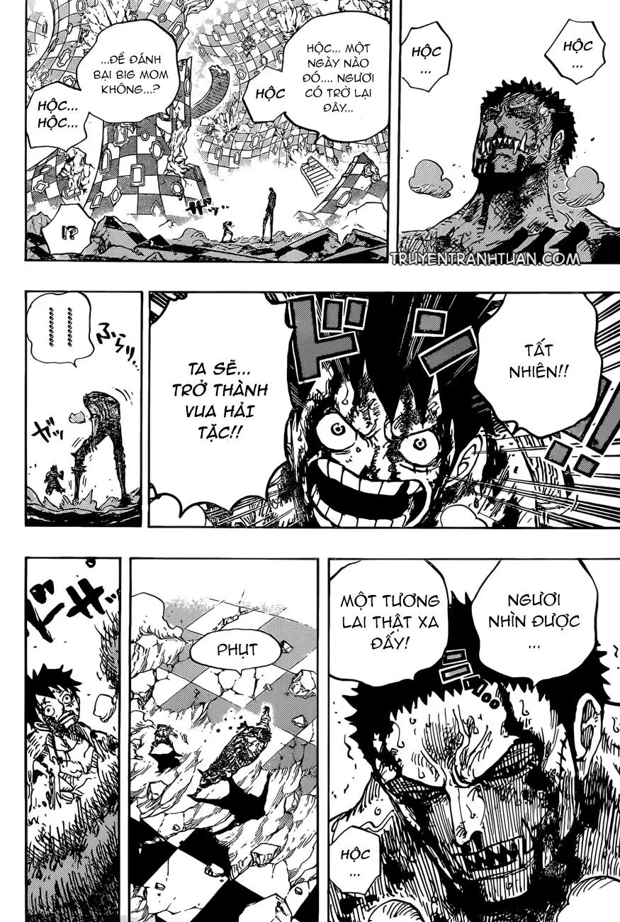 One Piece chương 896, trang 14