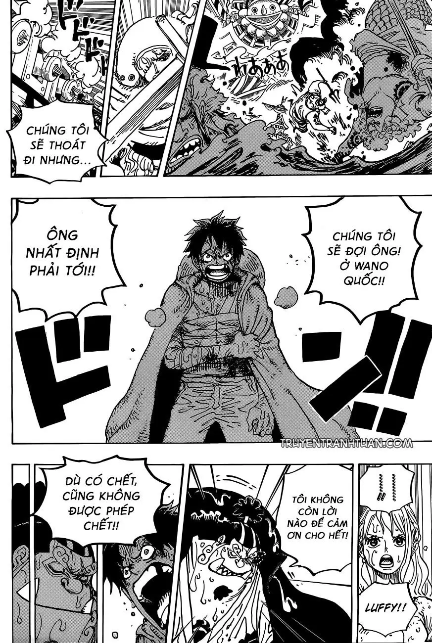 One Piece chương 901, trang 14