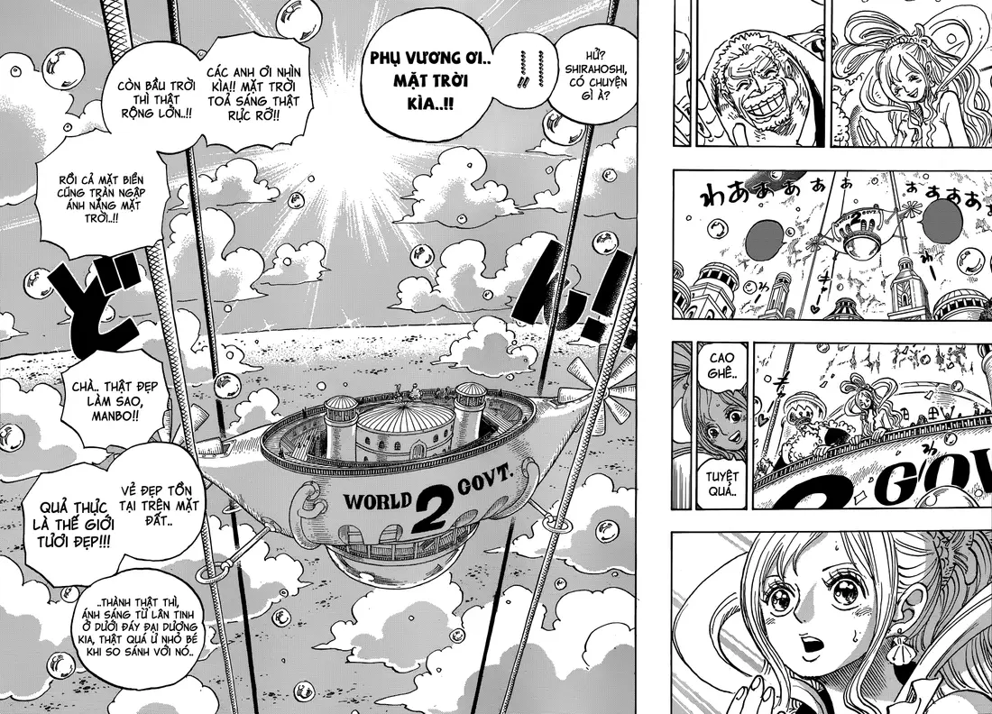 One Piece chương 905, trang 11