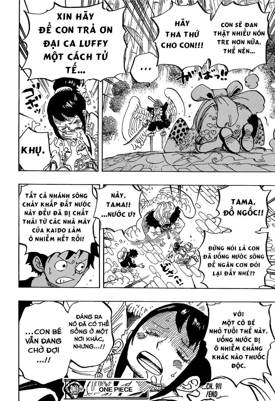 One Piece chương 911, trang 16