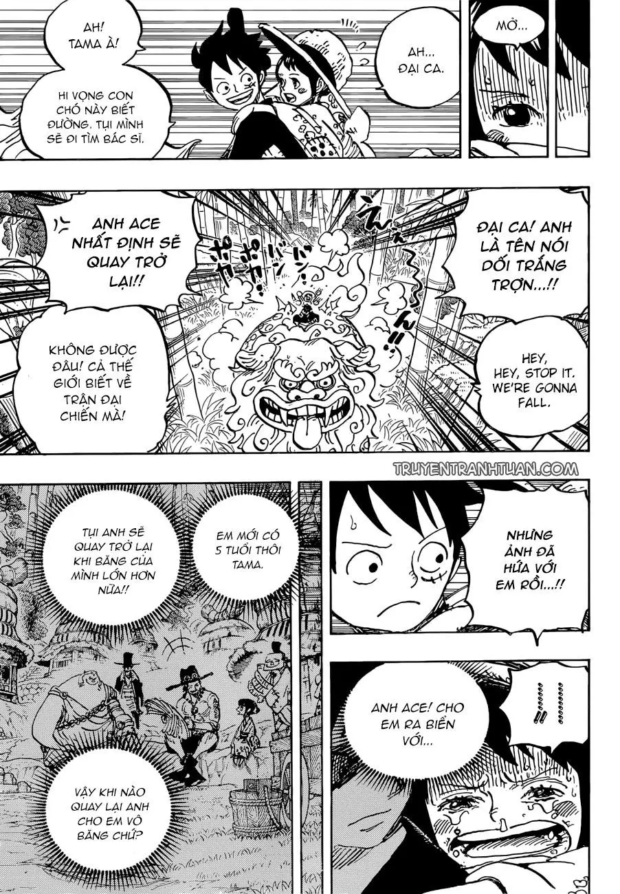 One Piece chương 912, trang 10