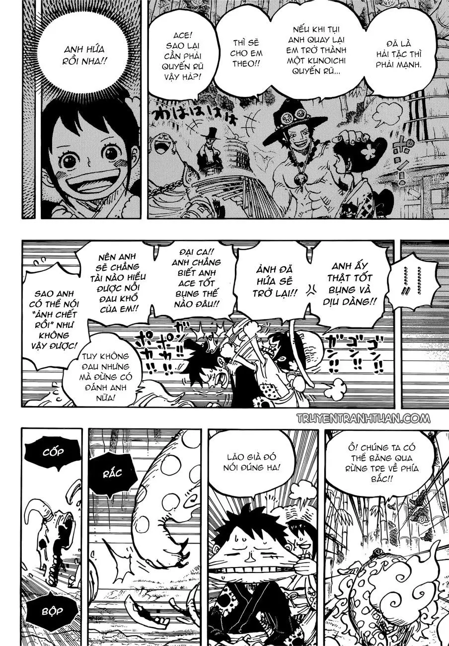 One Piece chương 912, trang 11
