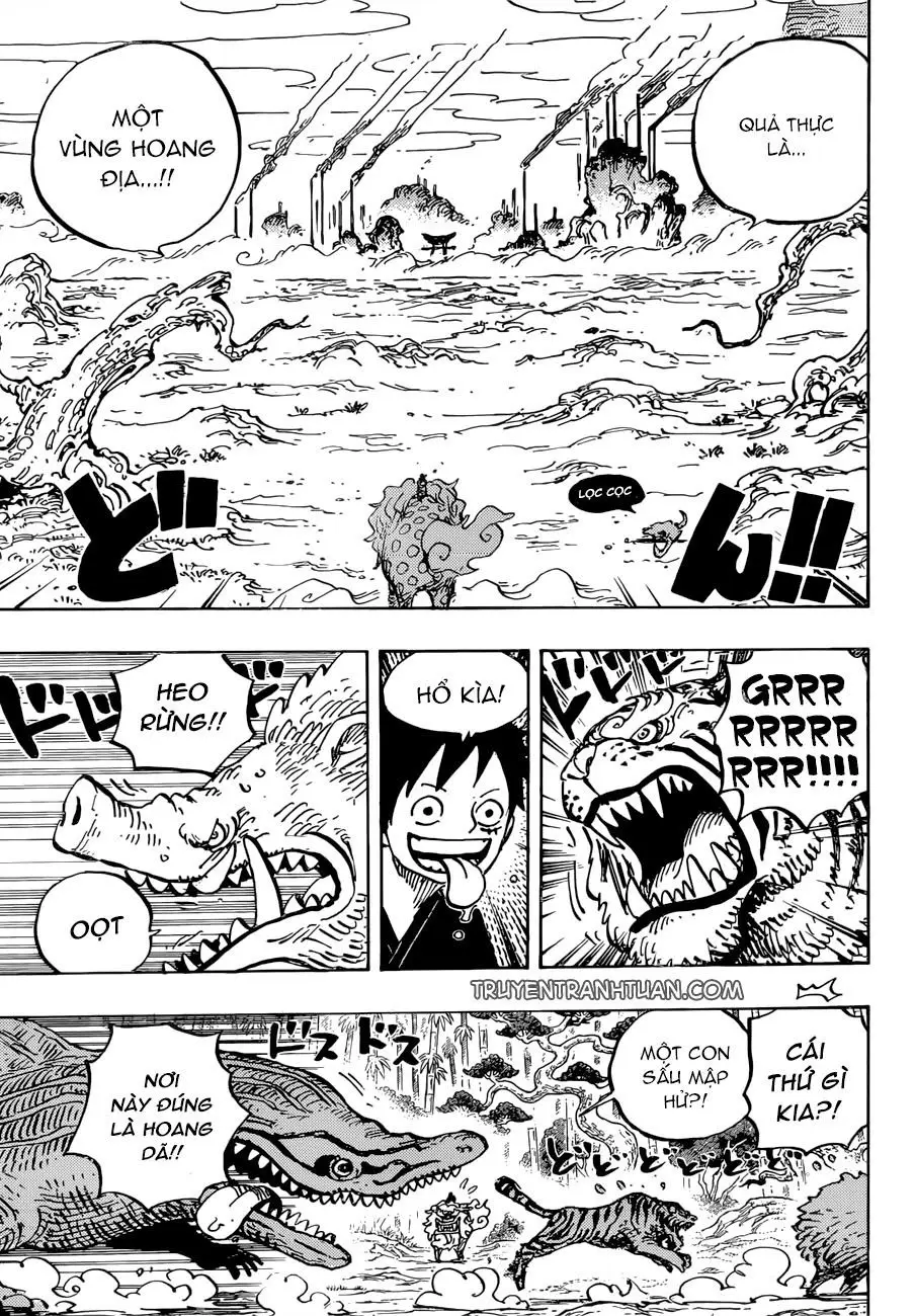 One Piece chương 912, trang 12