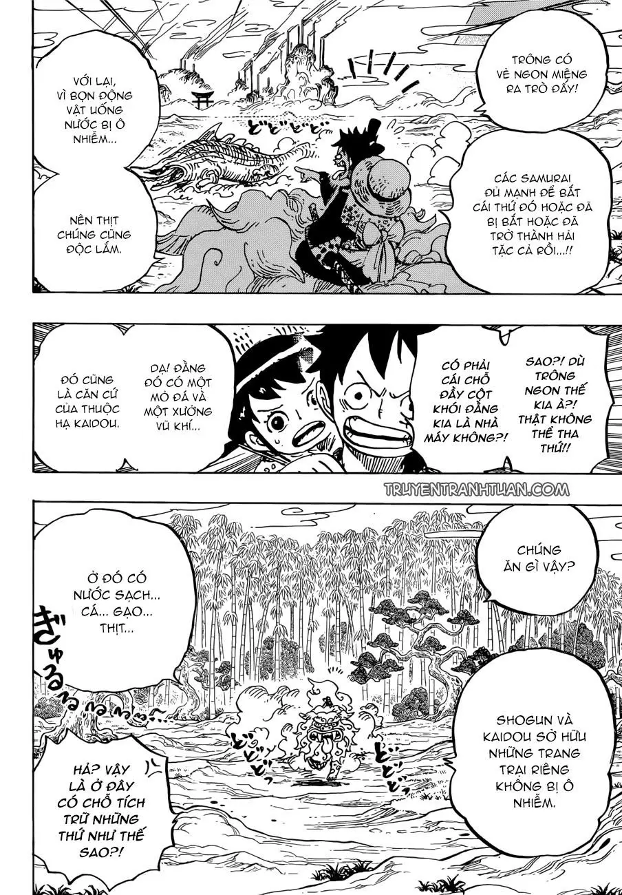 One Piece chương 912, trang 13
