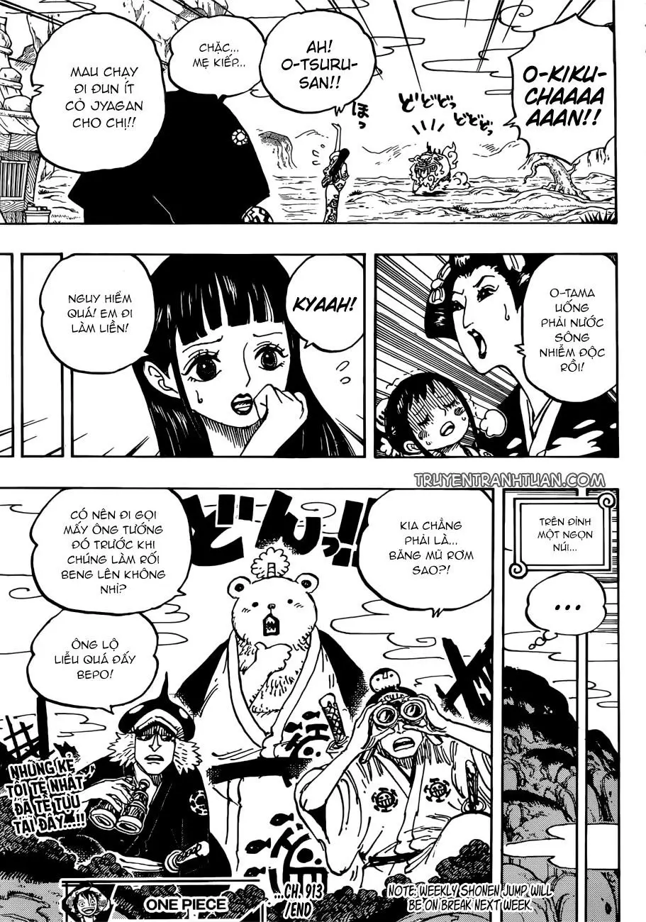 One Piece chương 913, trang 14