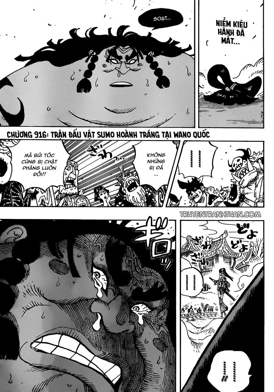 One Piece chương 916, trang 3