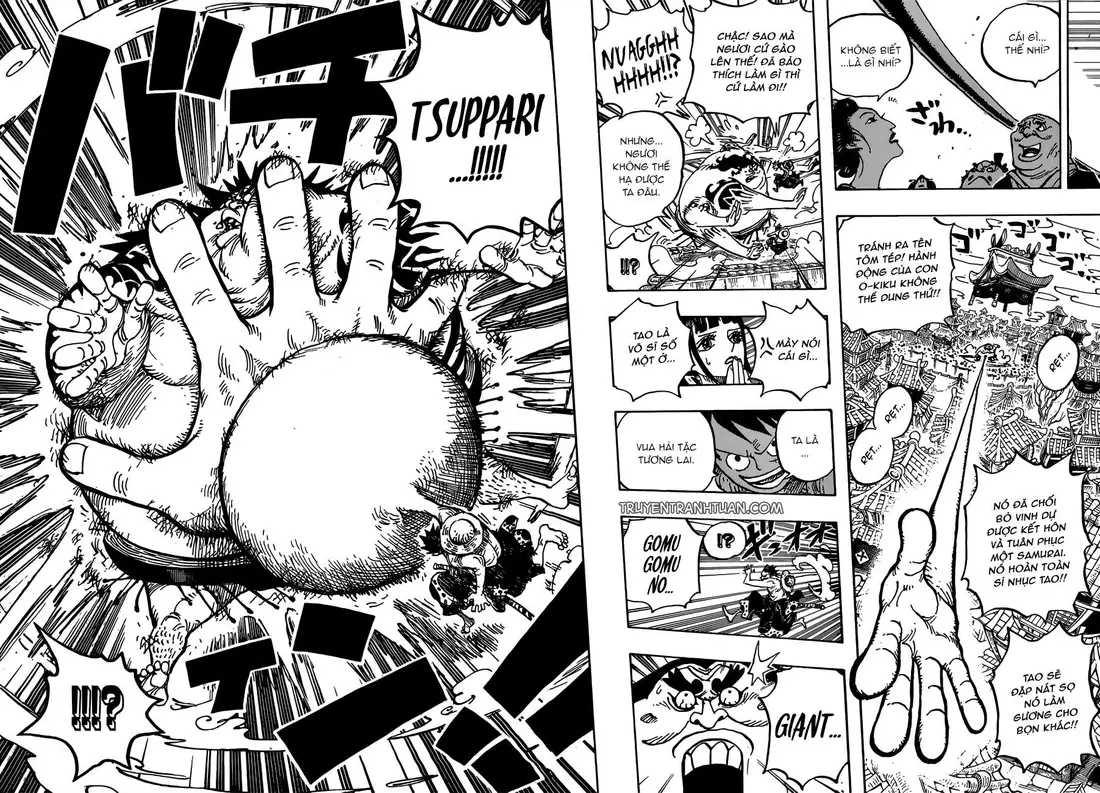 One Piece chương 916, trang 12