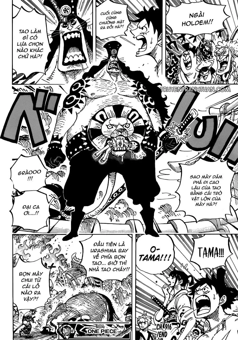 One Piece chương 916, trang 17