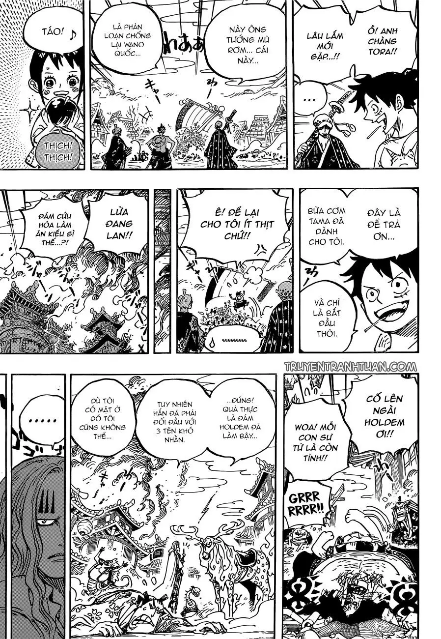 One Piece chương 918, trang 14