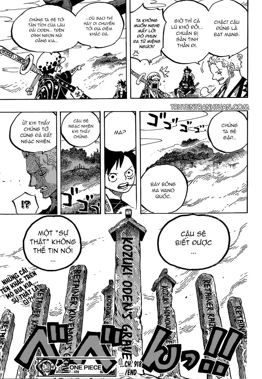 One Piece chương 918, trang 16