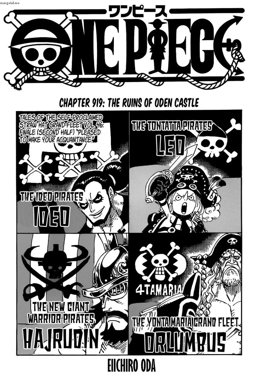 One Piece chương 919, trang 1