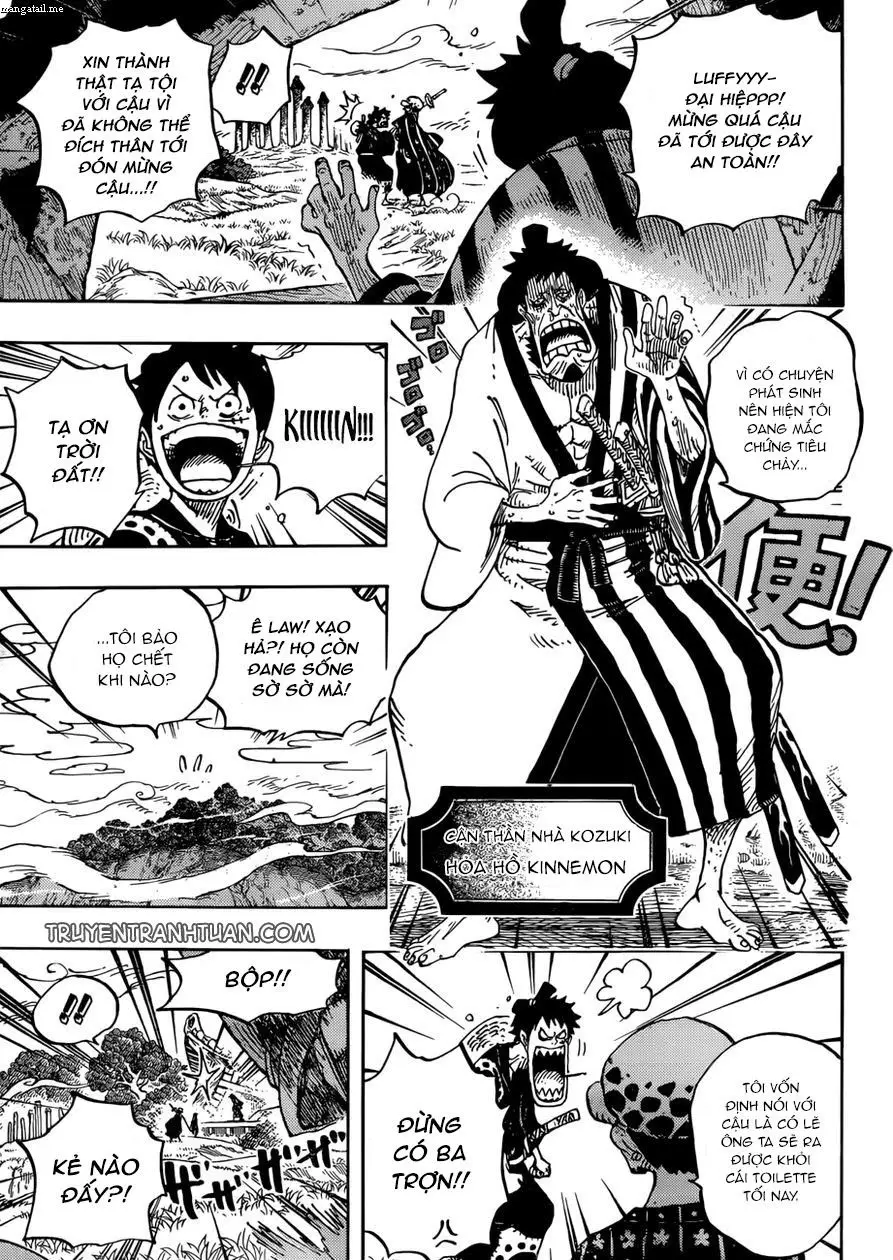 One Piece chương 919, trang 11