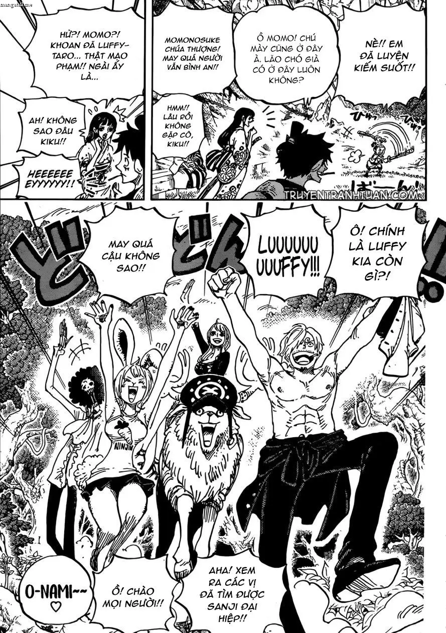 One Piece chương 919, trang 13