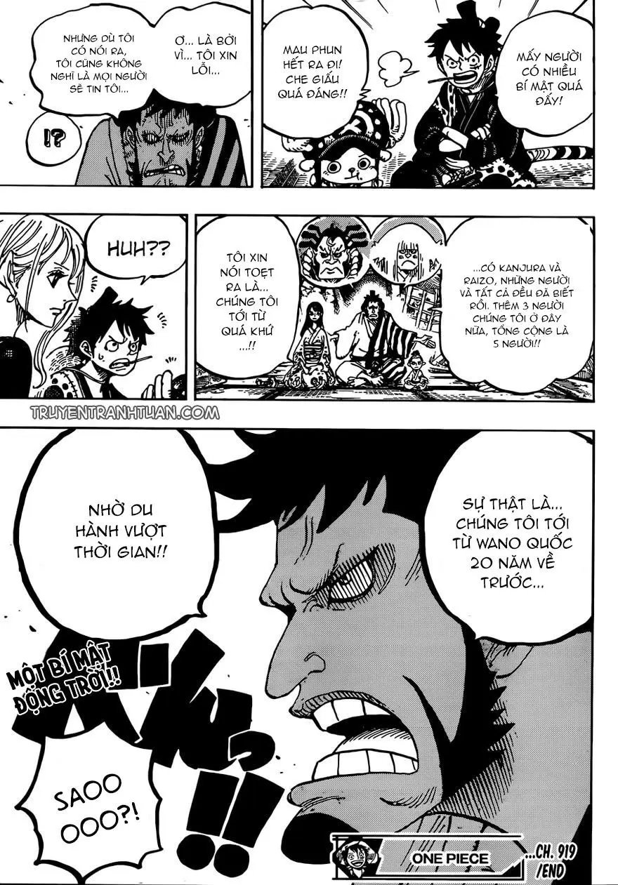 One Piece chương 919, trang 15