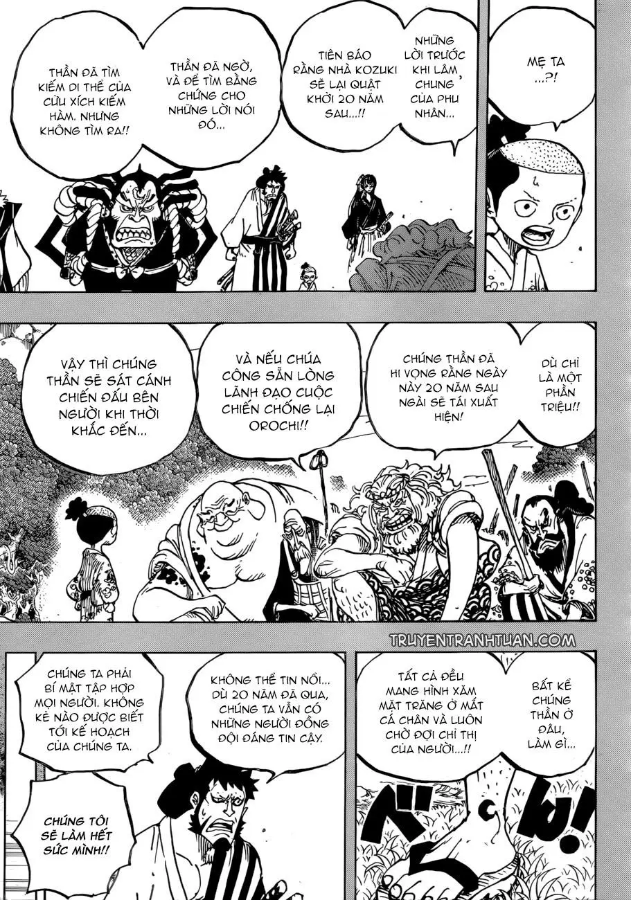 One Piece chương 920, trang 12