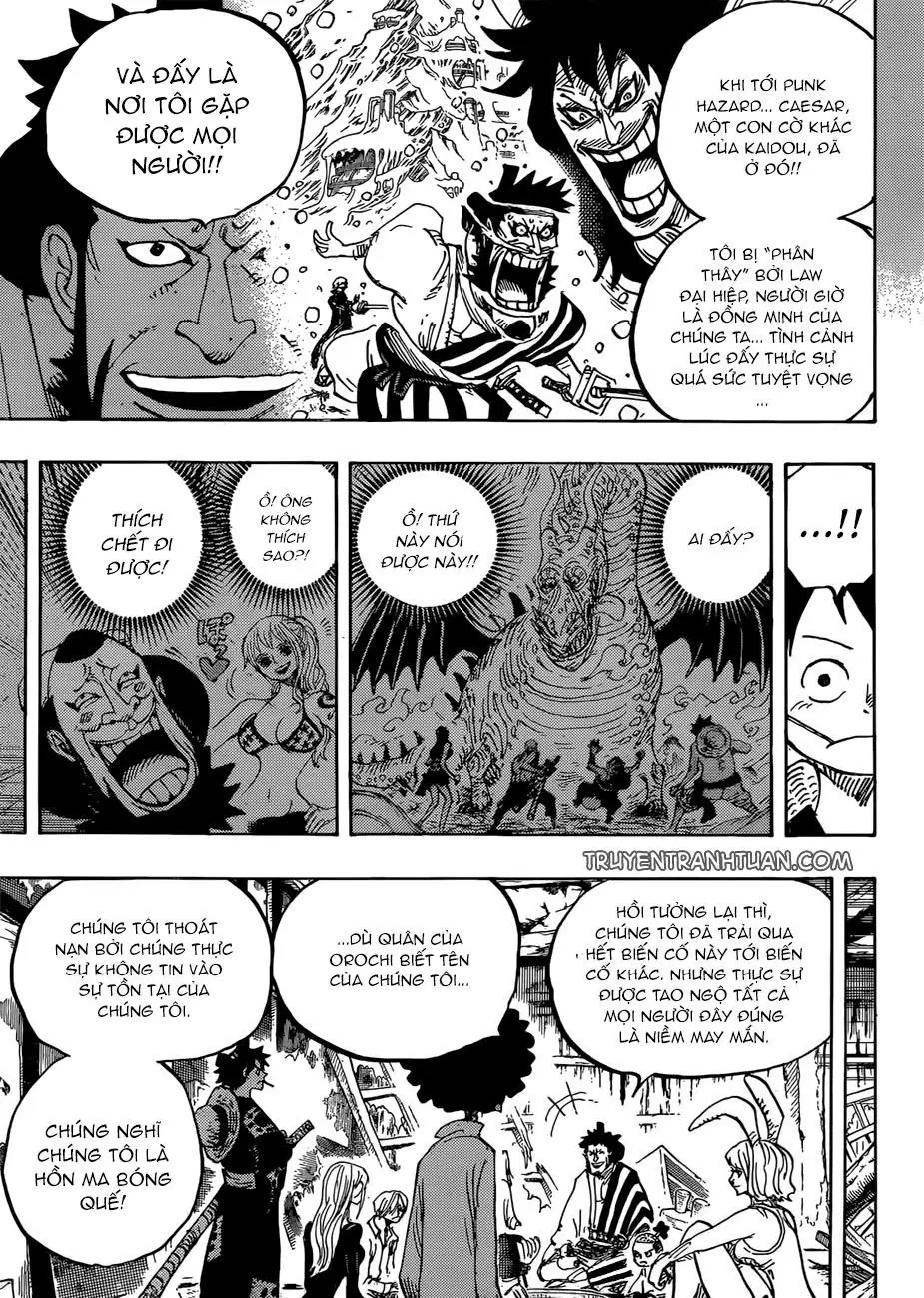 One Piece chương 920, trang 14