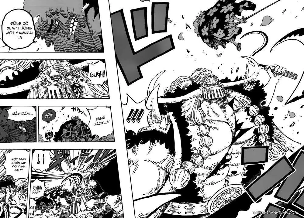 One Piece chương 921, trang 14