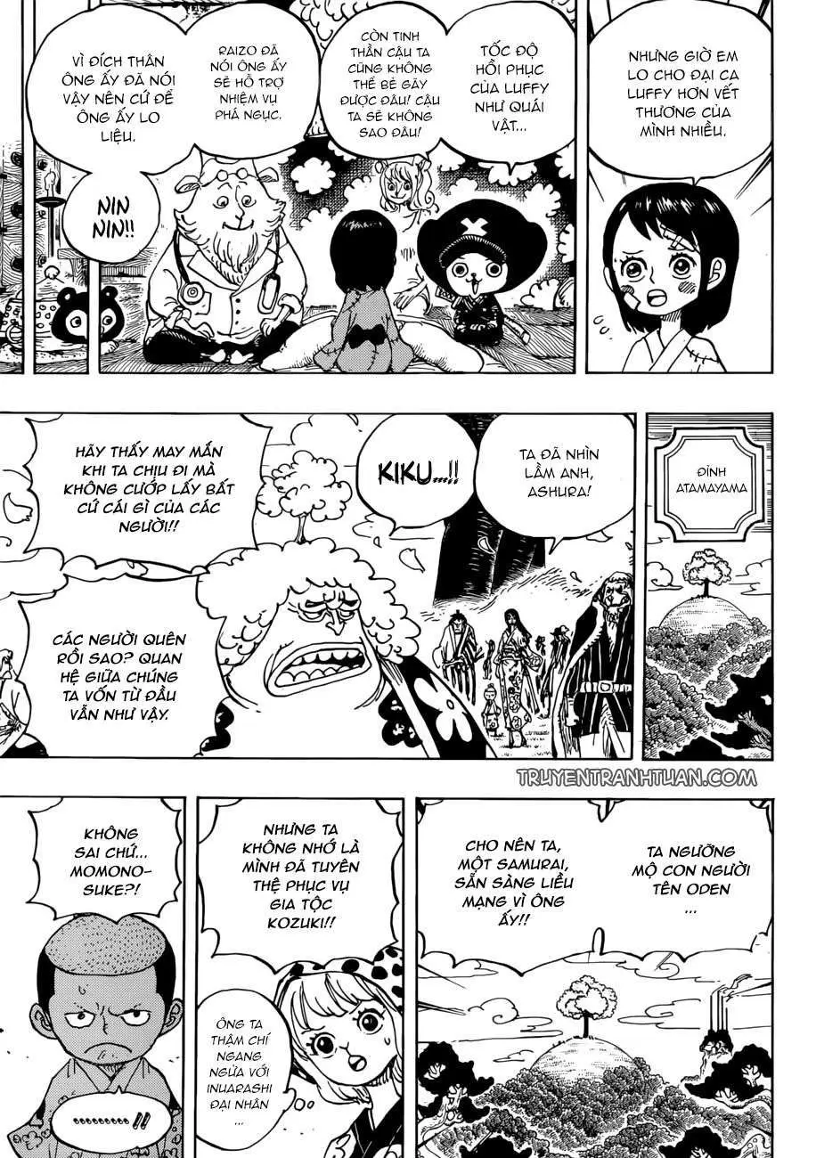 One Piece chương 925, trang 14
