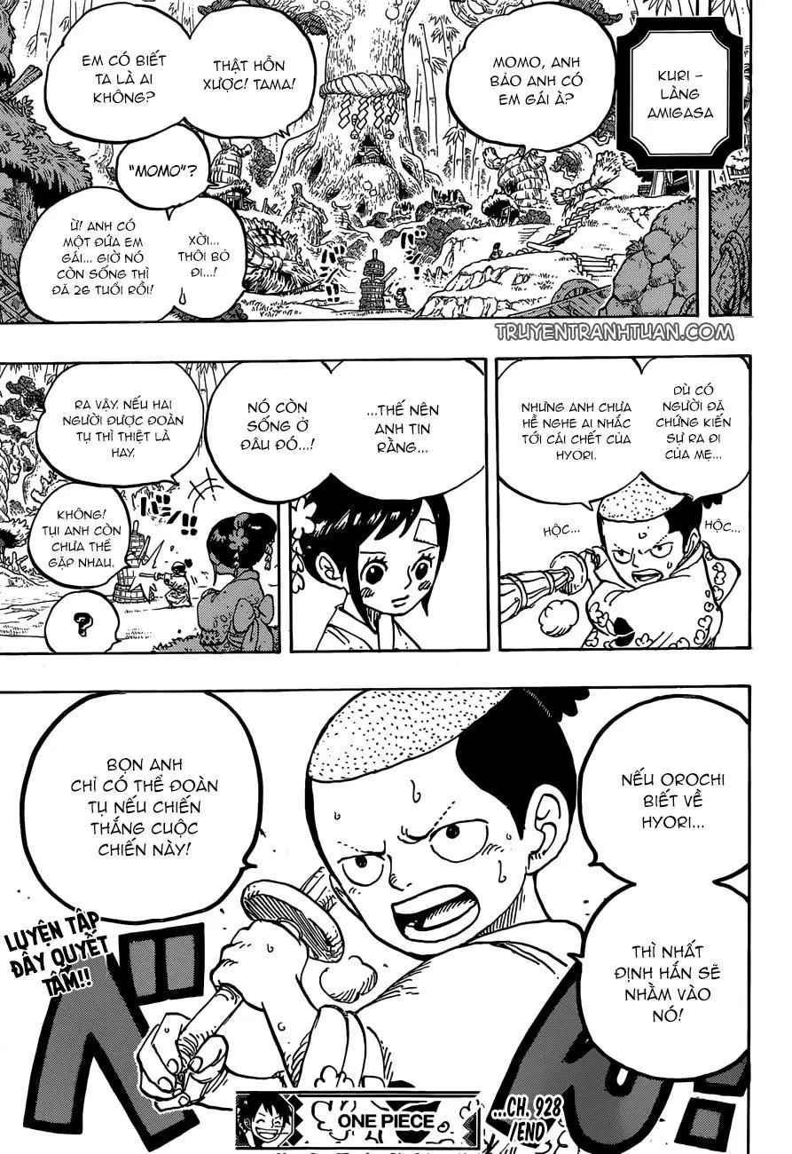 One Piece chương 928, trang 18