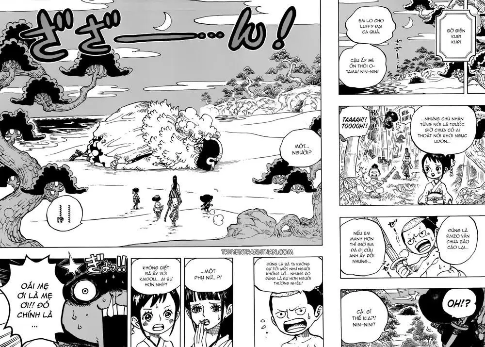 One Piece chương 931, trang 13