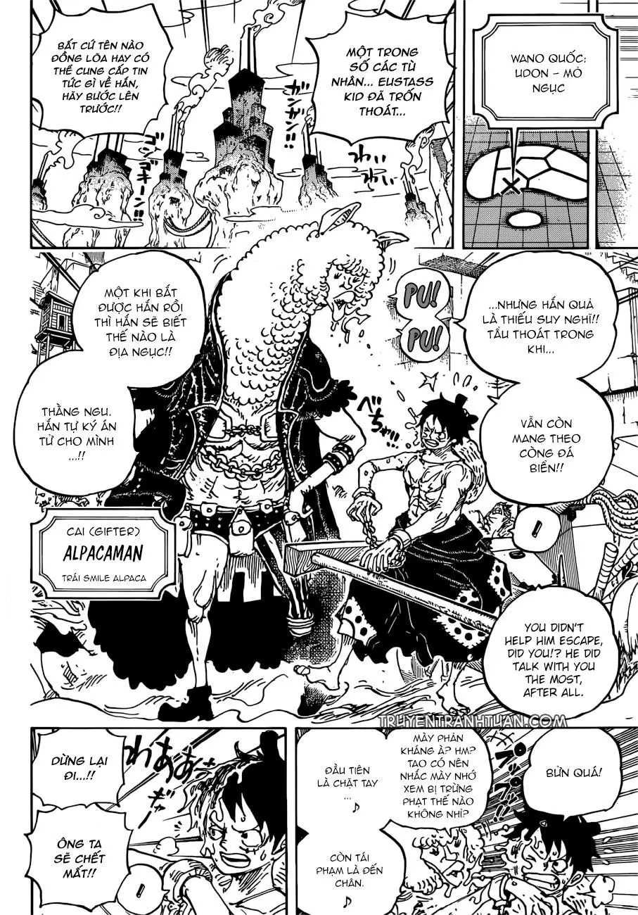 One Piece chương 934, trang 13