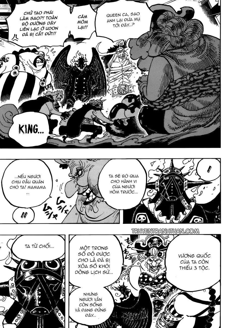 One Piece chương 951, trang 14