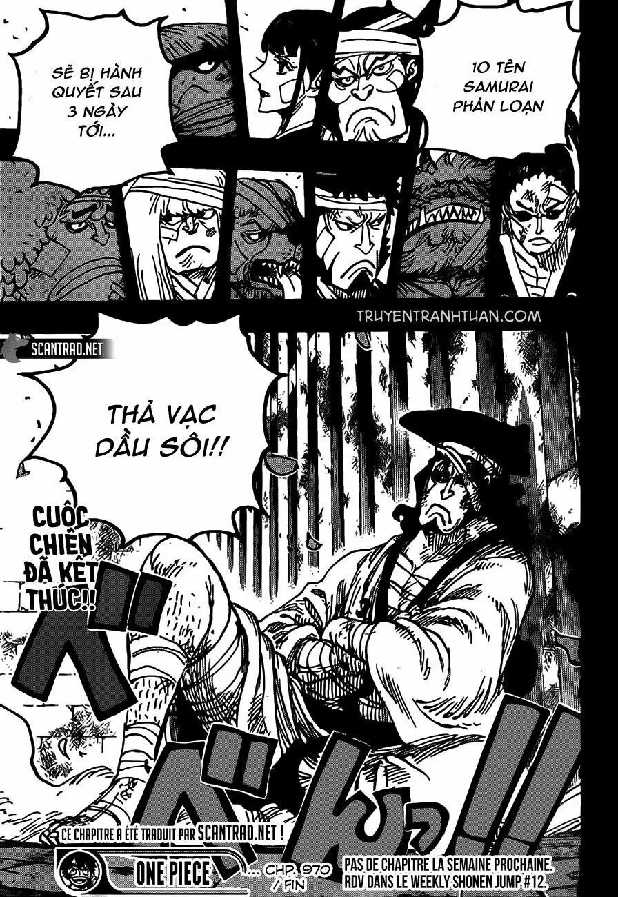 One Piece chương 970, trang 14