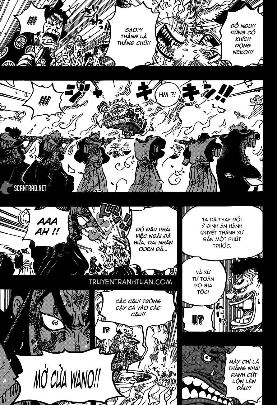 One Piece chương 972, trang 13