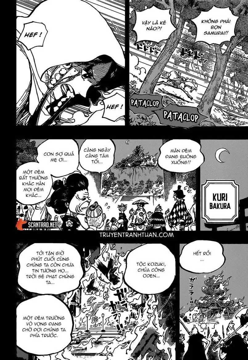 One Piece chương 973, trang 11