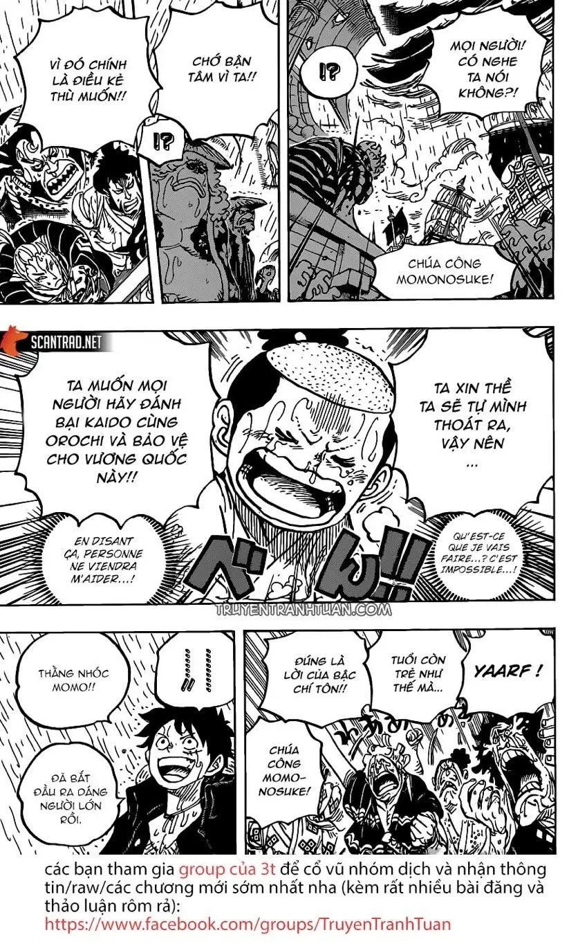 One Piece chương 976, trang 10