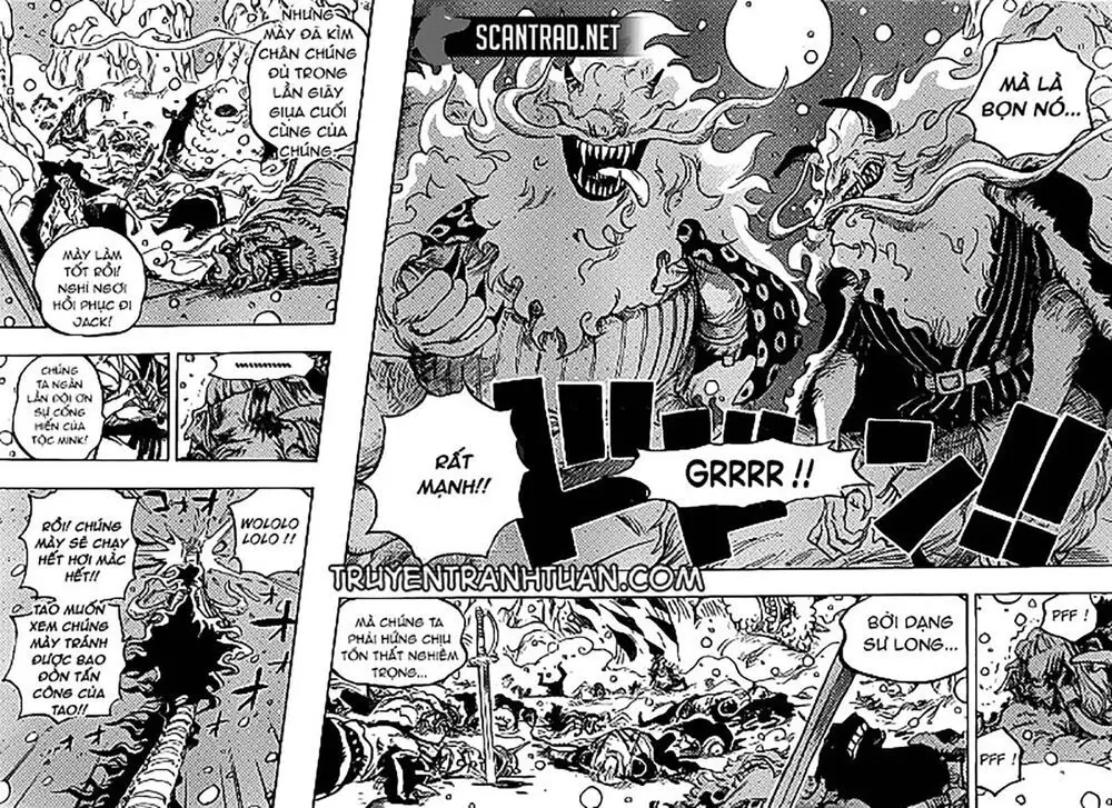 One Piece chương 991, trang 14