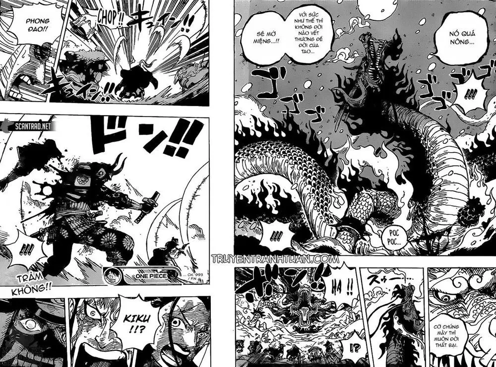 One Piece chương 993, trang 15
