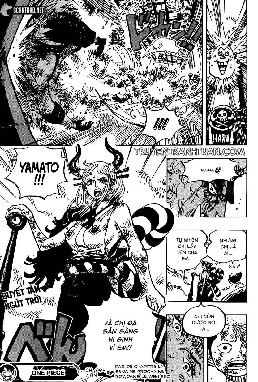 One Piece chương 994, trang 16