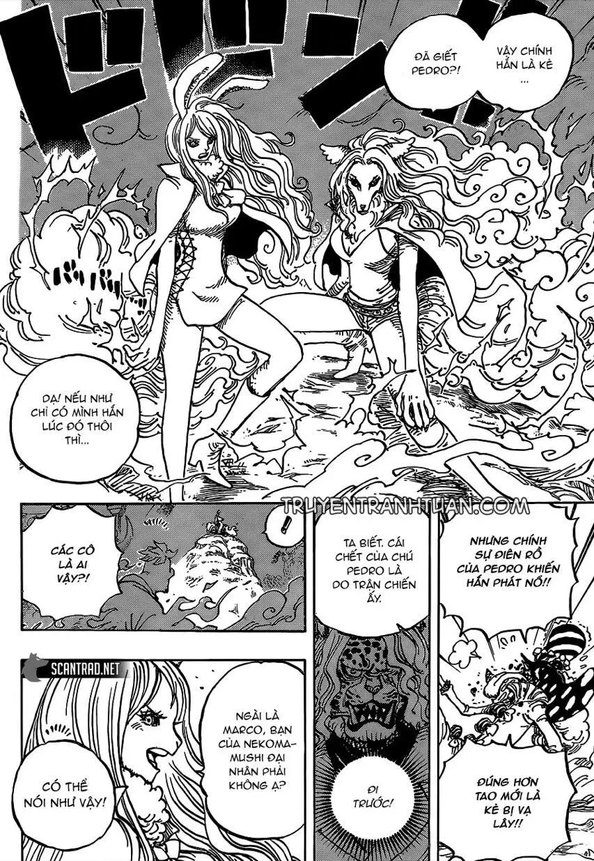 One Piece chương 995, trang 5