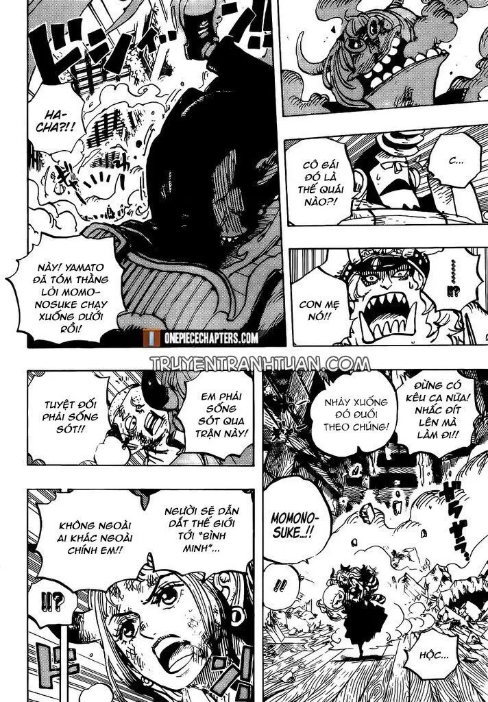 One Piece chương 996, trang 10