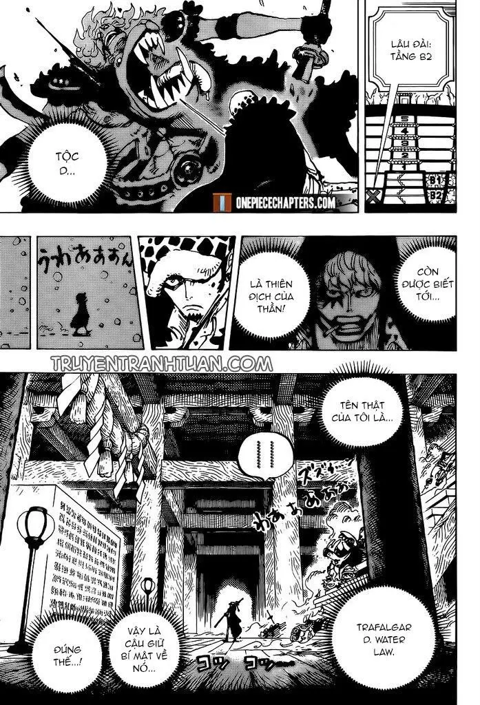 One Piece chương 996, trang 11