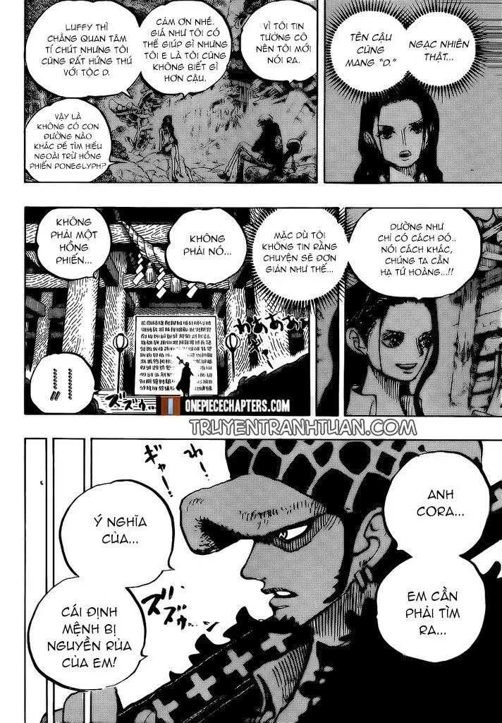 One Piece chương 996, trang 12
