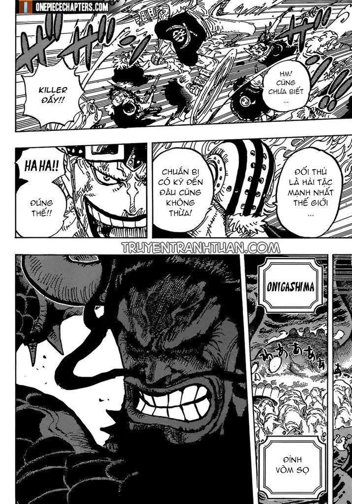 One Piece chương 996, trang 14