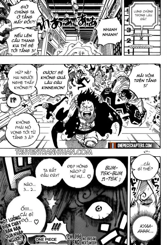 One Piece chương 996, trang 17