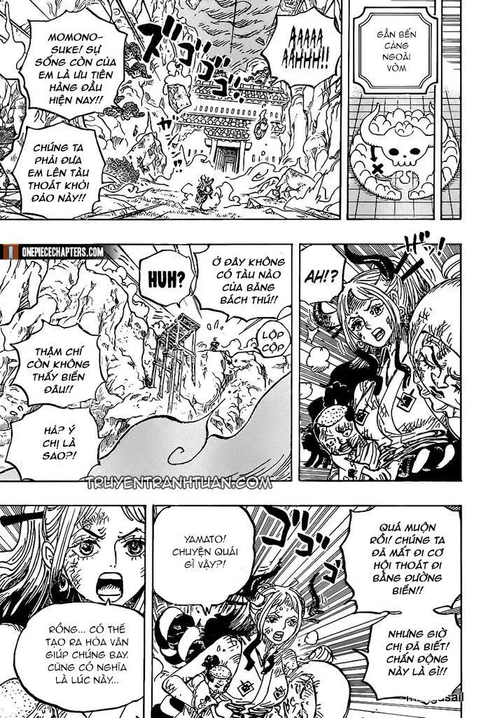 One Piece chương 997, trang 15